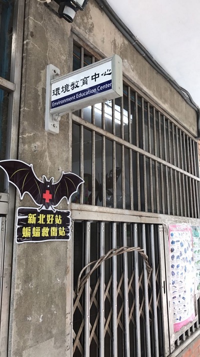 小小蝙蝠流浪街頭 動保處宣導蝙蝠救傷 | 文章內置圖片