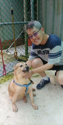 香港朋友献爱心，瑞动犬猫好幸福 | 文章内置图片