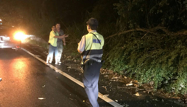 臺23線省道路樹倒塌 警民協力排除保平安