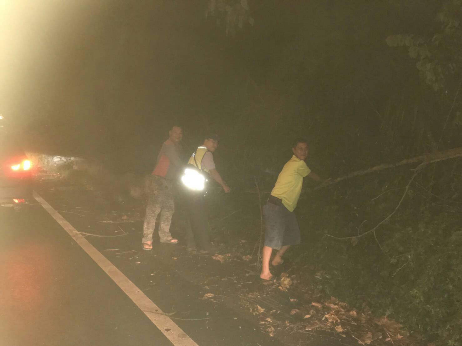臺23線省道路樹倒塌 警民協力排除保平安 | 文章內置圖片