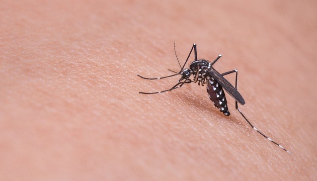 日本腦炎確定病例持續增加，呼籲高風險地區民眾提高警覺並做好防蚊措施