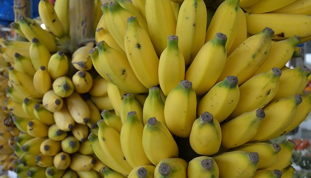 今年上半年香蕉外銷量倍增 農委會將持續改善外銷供應鏈