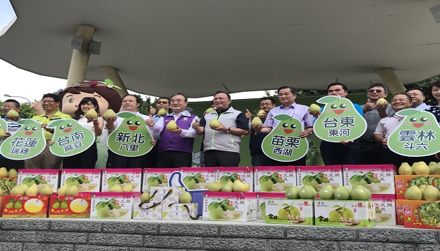 『台灣幸福柚』上市　請消費者多多選購