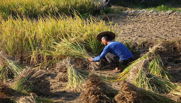 出席全國農業會議 賴揆：攜手打造「三生共構」的永續農業