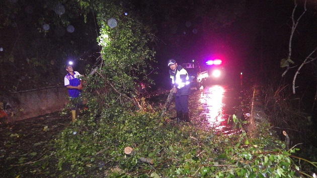 扫到颱风尾，玉里分局辖区大树倒塌、积水挡路，警民齐力排除 | 文章内置图片