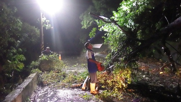 掃到颱風尾，玉里分局轄區大樹倒塌、積水擋路，警民齊力排除 | 文章內置圖片
