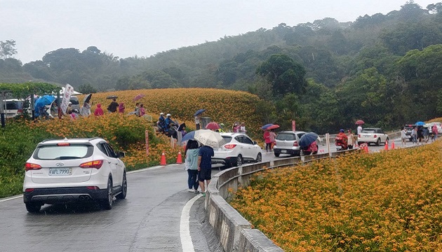 金针花季为期52天正式落幕 玉里分局交通部署奏效成功防制事故