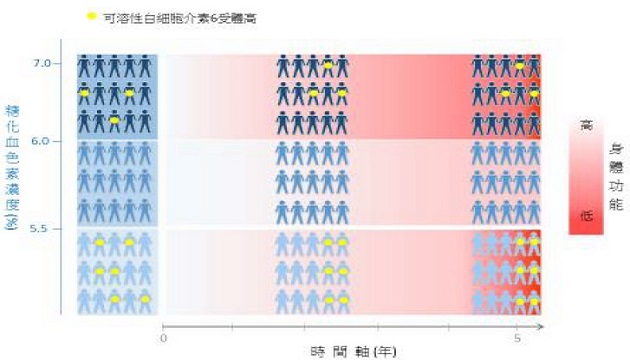 糖化血色素濃度偏高和偏低，可能透露衰老速度警訊