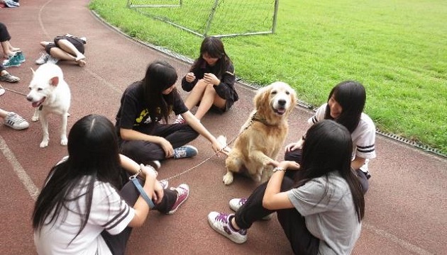 發展動物保護教材融入十二年國教