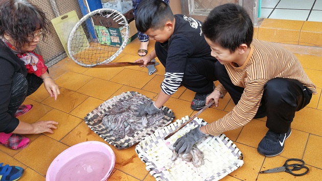 澎湖縣白沙鄉鳥嶼國小「澎海望潮子，鳥嶼愛思客」翻轉鳥嶼孩子對家鄉的熱愛 | 文章內置圖片