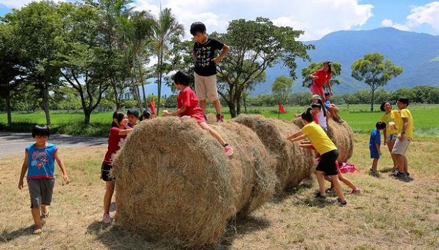 2019年池上牧草季開鑼 逛市集、嚐美食，體驗農業循環課程