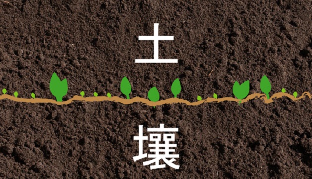 培植技術開創紀元~土壤及地下水科研成果發表暨技術媒合會 歡迎踴躍參加！