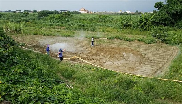 防堵秋行軍蟲擴散 水利署動員人力加強巡查