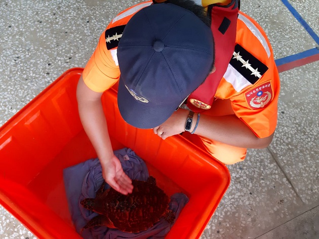 保護東部海洋生態，海巡不遺餘力 | 文章內置圖片