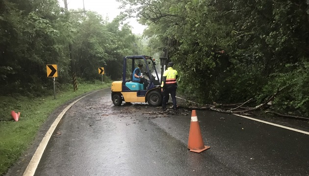 雨中有溫暖，警民不畏大雨清除路樹