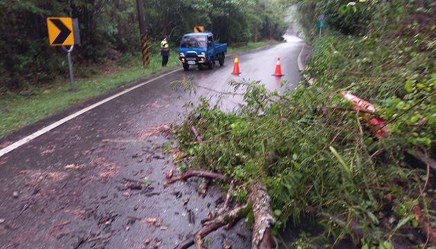 雨中有温暖，警民不畏大雨清除路树 | 文章内置图片