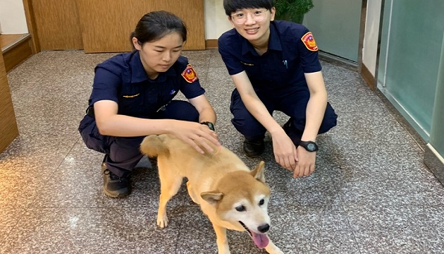 三重女警暖心 幫忙毛小孩回家