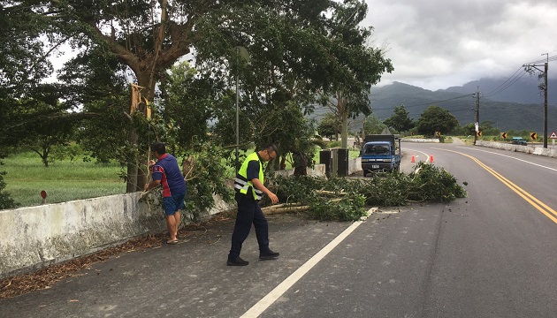 交通要道路樹倒塌，員警迅速交管、清除保平安 | 文章內置圖片