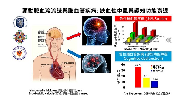 高血壓且頸動脈流速較低之年長者 伴隨認知功能衰退之可能風險