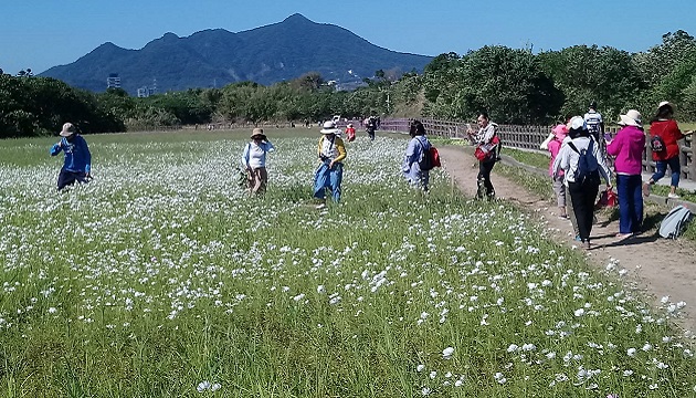 超夯关渡花海秘境 交通讯息报你哉