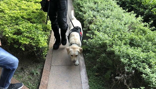 耶誕城點燈請來警犬隊 嚴密安檢滴水不漏 | 文章內置圖片