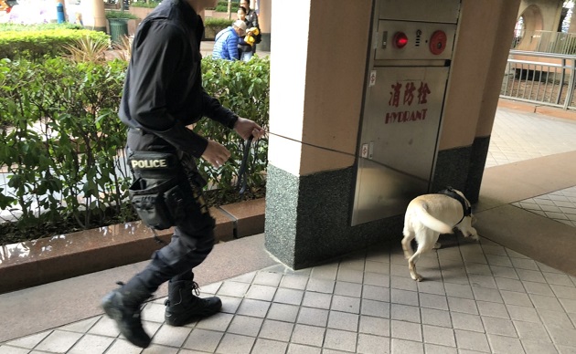 耶誕城點燈請來警犬隊 嚴密安檢滴水不漏 | 文章內置圖片