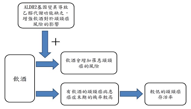 酒精對於頭頸癌風險及存活之影響