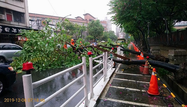 6尺路樹倒塌阻斷道路堵塞 土城警與公所合作無間迅速排除 | 文章內置圖片