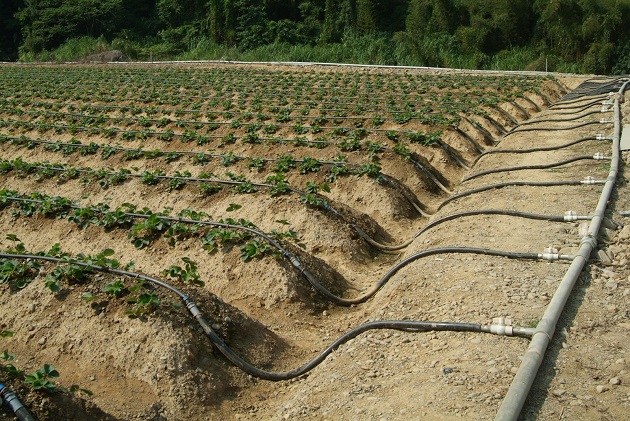 持续推广与应用农田水利基础资料库 有效管理农业水资源以确保粮食作物生产 | 文章内置图片