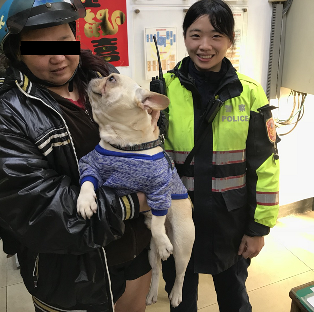 糊塗飼主弄丟毛小孩 樹林警協助認領 | 文章內置圖片