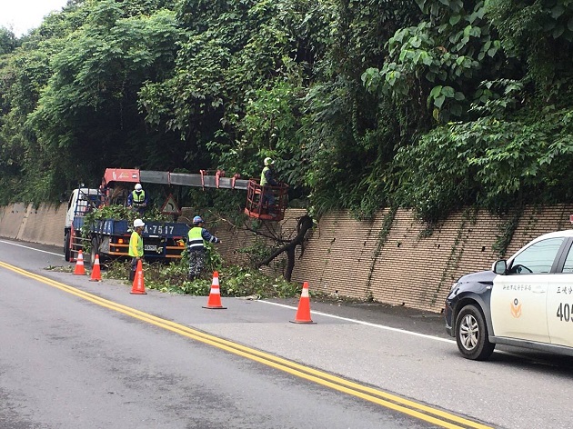 路樹倒塌佔據單線車道 三峽警即刻清除守護交安 | 文章內置圖片