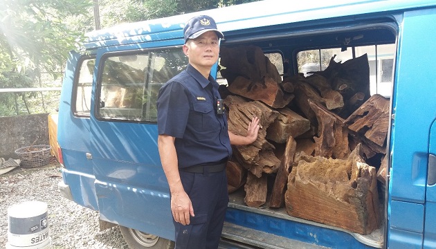 山老鼠盜伐肖楠木 三峽警一網打盡分裝工廠