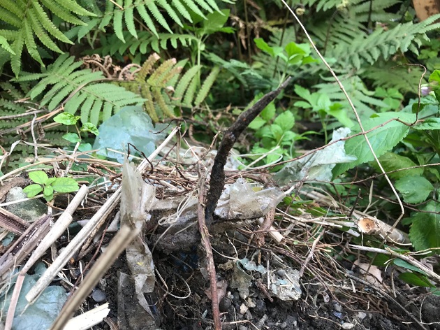 南蛇出沒!動保員遭鐵條刺傷 三峽警緊急救護 | 文章內置圖片