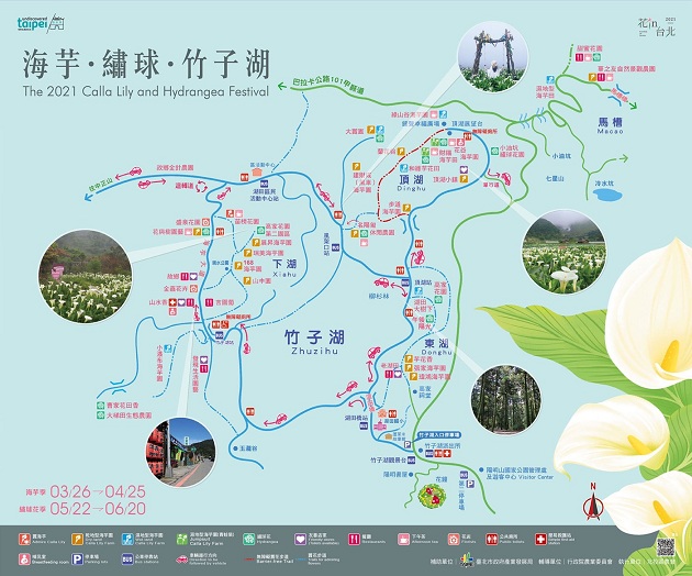 「2021年竹子湖海芋及繡球花季」開跑，交管資訊看這裡！