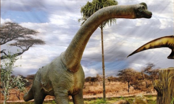 發現新品種! 史上體型最大恐龍