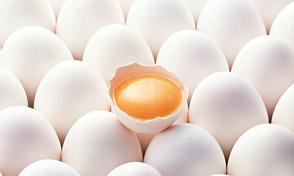 雞蛋有農藥  蛋農：管道汙染