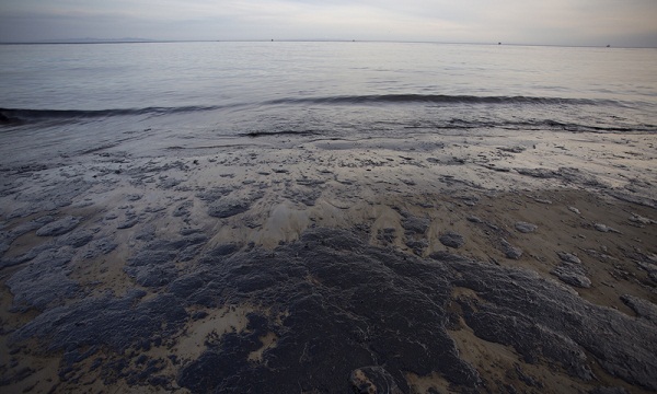 輸油管破裂 加州蔚藍海岸成黑海