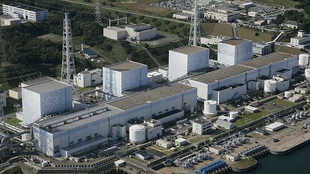 核電傳重啟 日團體:「絕不允許」
