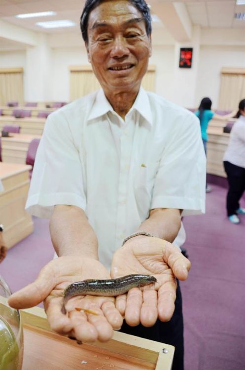 南華大學放泥鰍 從根本消滅孑孓 | 文章內置圖片